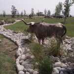 Dry-River-Rock-Bed-with-Native-Grasses.jpg