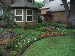 xerisicape landscaping