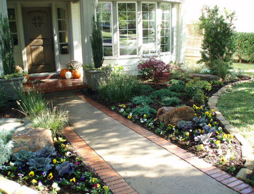 Xeriscape Design tips for Texas