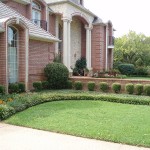 Shrub-Trimming-Monkey-Grasses.jpg