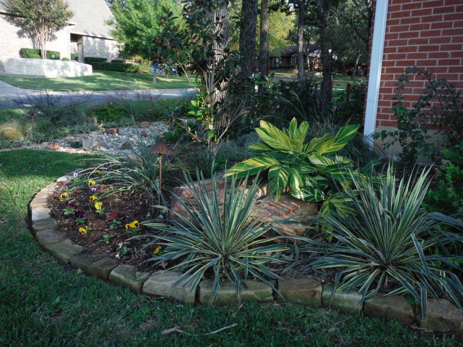 Texas Landscaping Ideas - Fort Worth, TX | Low Water Landscaping