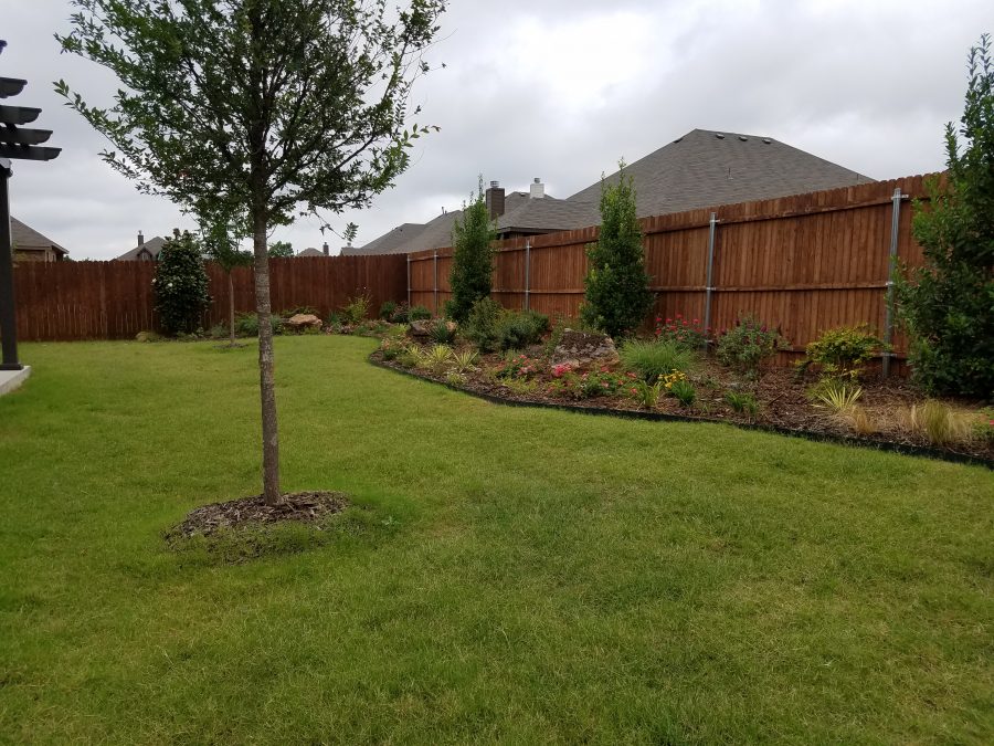 Drought Lawn Care Ideal Landscape Services